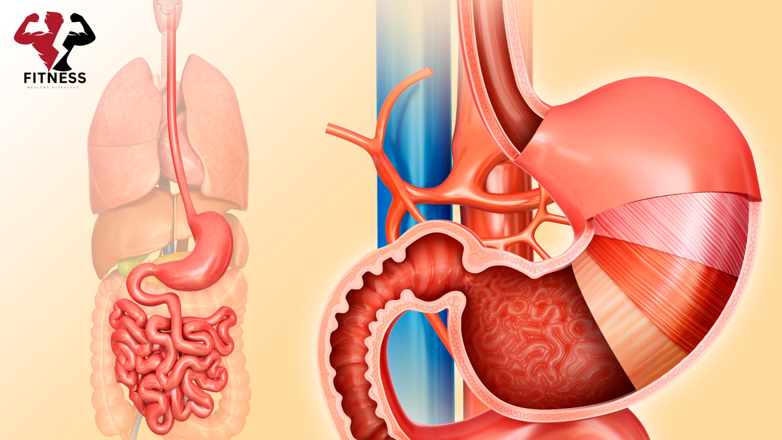 Stomach Pain